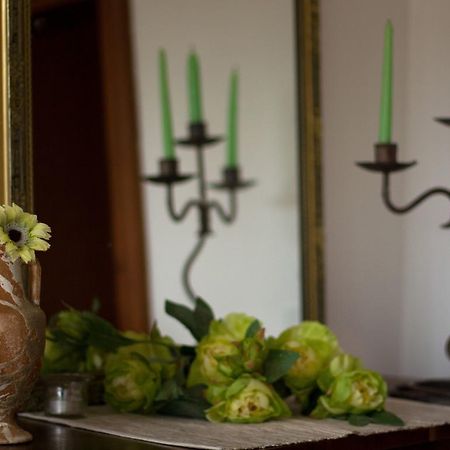 Apartment Duketis Rovinj Zewnętrze zdjęcie